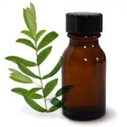 น้ำมันหอมระเหย tea tree oil 60ml