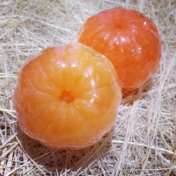 แม่พิมพ์ รูปส้ม 100g สั่งผลิตขั้นต่ำ 5 ชิ้น TCU