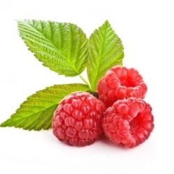 หัวน้ำหอมกลิ่น ราสเบอรี่ Raspberry(03) หวานอมเปรี้ยว 002767