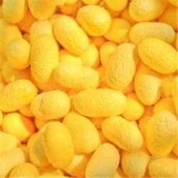 ผงรังไหม sericin extract powder 20g ผงสีขาวครีม 006322