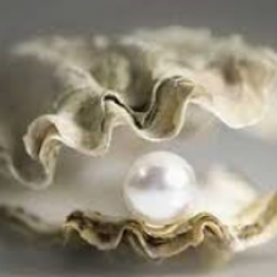 สารสกัดไข่มุก (มีใยของสารสกัดไข่มุกผสม) 001077 เลือกแบบ