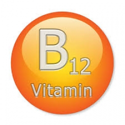Vitamin B12 10g 002703