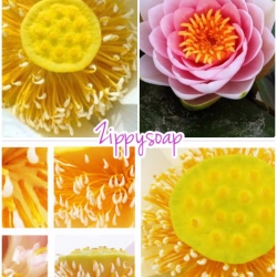 หัวน้ำหอม เกสรบัว 002934