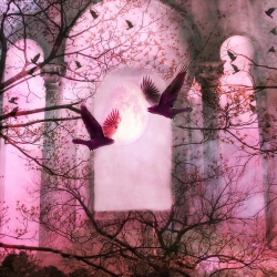 หัวน้ำหอมกลิ่น PINK FANTASIA (FANTASIA) 003781