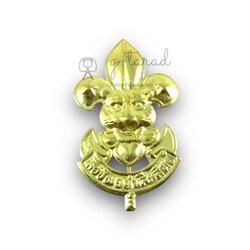 เข็มติดหมวก เข็มติดอก เครื่องหมายของลูกเสือ ลูกเสืออากาศ