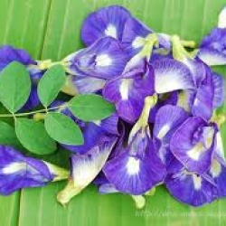 ผงอัญชัน 40g