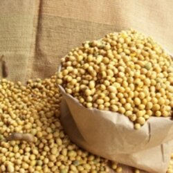 สารสกัดโปรตีนถั่วเหลือง ชนิดน้ำ 002293 เลือกแบบ