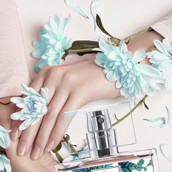 หัวน้ำหอม กลิ่น ni in mor 005704