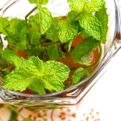 หัวน้ำหอมกลิ่น Iced Mint Jasmine 002723