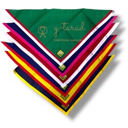 ผ้าพันคอลูกเสือสำรอง/เนตรนารีสำรอง ติดตราสัญลักษณ์เชียงราย