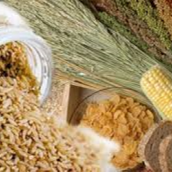 Hydro Protein (Soy, Oat, Wheat, Maize Protein) 60g