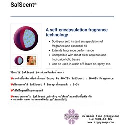 salscent สารตรึงกลิ่น 50ml 005951