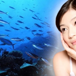 Hydrolyzed collagen จากปลาน้ำลึก 004140