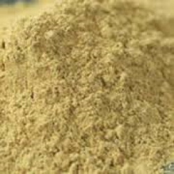 ผงเสลดพังพอน 50g