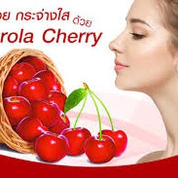 สารสกัดชนิดผง อะเซโรล่า เชอร์รี่ Acerola Cherry 30g