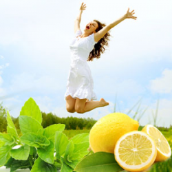 NG หัวน้ำหอม Aromatherapy Energizing 000416