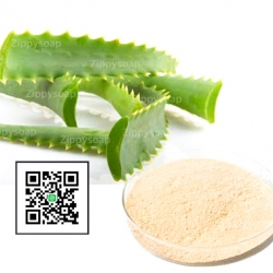 ผงว่านหางจระเข้ ออแกนิค organic 50g (มีเอกสารรับรอง organic)