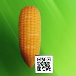 แม่พิมพ์ซิลิโคน ข้าวโพด 60g 006582 สั่งผลิตขั้นต่ำ 2 ชิ้น JHHU