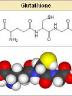gallovax สารสกัด กลูต้า + อนุพันธ์วิตามิน 50g