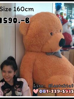 ตุ๊กตาหมีสีน้ำตาลอ่อน 1ุ60เซนติเมตร