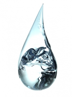 Saliguard EZ / Soft Preserve สารกันเสียอ่อนโยน 100g 003704