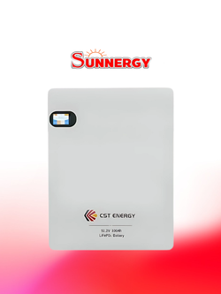 CST ENERGY 51.2V 100Ah Home Wall Mounted Lithium Iron Phosphate Battery