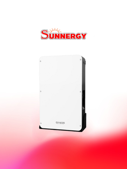 Dyness Battery Dyness Powerbox Pro lithium 51.2 V 200AH, 10.2kwh