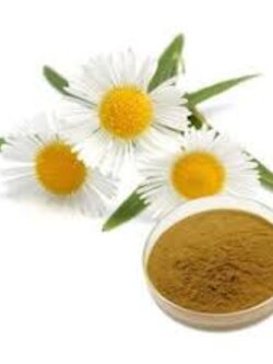 Chamomile Extract Powder ผงคาโมมายด์ 25g 000230