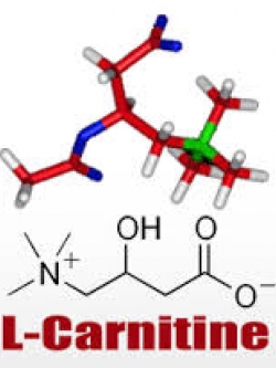 L-Carnitine 50g