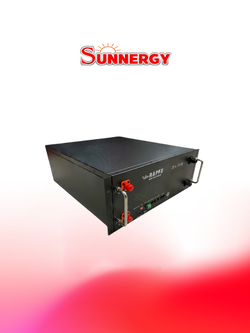 RAPD Li-Battery 51.2V 100Ah Reck Type