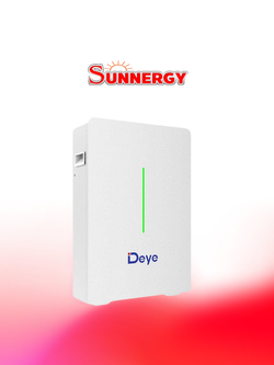 DEYE_RW-F10.6/51.2V/208AH/10.64KWH Wall Mounted