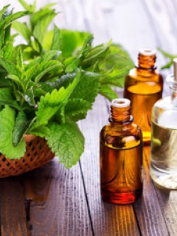 น้ำมันเปปเปอร์มินต์ 1 kg