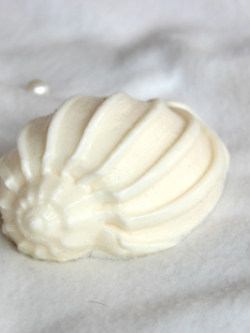 แม่พิมพ์ รูปหอย