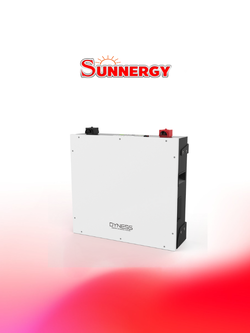 Dyness Battery DL5.0C lithium 51.2 V 100AH, 5.12kwh( 7 years warranty)