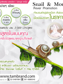 Promotion : โปรโมชั่นทำแบรนด์สบู่ฟองครีม ฟองเมือก ฟองมูส Snail and Mousse Fever Promotion