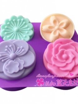 แม่พิมพ์ซิลิโคนคละลาย 4 ช่อง 6.8*2.8cm