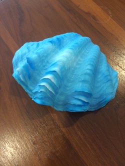 แม่พิมพ์ รูปหอยมุก 120g