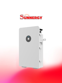 DEYE_RW-L5.1/51.2V/100AH/5.12KWH Wall Mounted