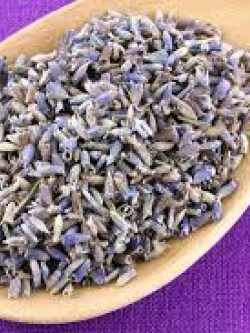 ดอกลาเวนเดอร์ 20g