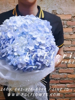 ช่อไฮเดรนเยียฟ้า