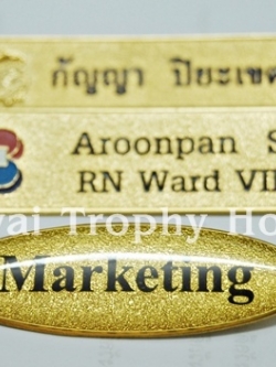 ป้ายชื่อวงรี เข็มกลัดชุบทองเคลือบนูน