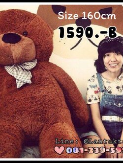 ตุ๊กตาหมีสีน้ำตาลเข้ม 1ุ60เซนติเมตร