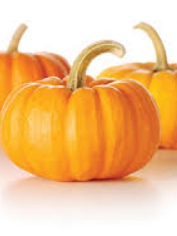 ผงฟักทอง ฟรีดดราย 50g