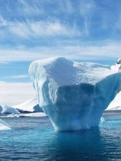 หัวน้ำหอม fizzy aqua 000968