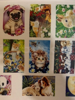 กระดาษเดคูพาจ รูปสัตว์คละลาย 1 แผ่น 004465