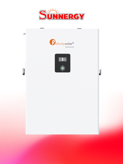 Felicitysolar LPBF48200-H Battery LiFePO4 แบตเตอรี่โซล่าเซลล์ ชนิดลิเธียมฟอสเฟต 48V 200Ah