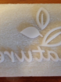 แสตป์สบู่ รูป ใบไม้ Nature