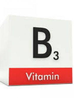 Vitamin B3 Niacinamide 100g