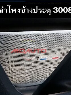 ครอบทวิสเตอร์และลำโพงข้างประตู FOCAL 3008 5008