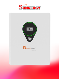 Felicitysolar LPBF24100-M Battery LiFePO4 แบตเตอรี่โซล่าเซลล์ ชนิดลิเธียมฟอสเฟต 24V 100Ah